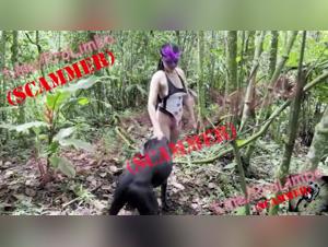 Video of Sex with a Dog