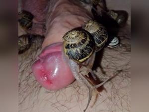 Sex videos with animals: explore the limits of ecstasy