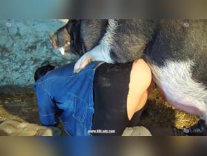 Animalistic Desire Unbound