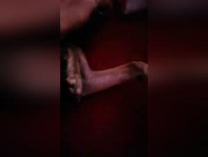 Sex Scene with a Dog