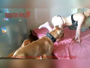Bestiality Sex Video: A Woman and Her Dog