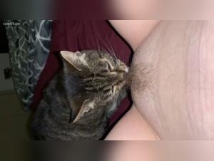 Forbidden Meeting: Woman and Dog