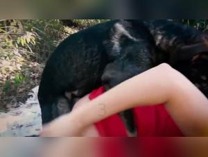 Yasmin and her two canine companions in a bestiality sex video