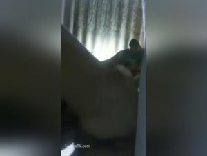 Bestiality sex video: woman and dog
