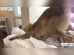 Bestial Encounter: A Woman and a Dog