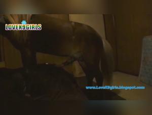 Woman and dog: a bestial and intense encounter