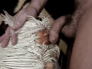 Bestiality with a Hen - Shock Video