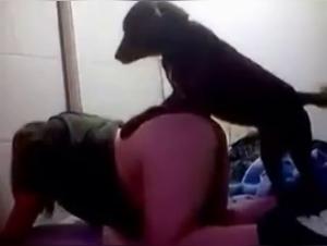 Bestiality: Teenage girl subjected to a dog