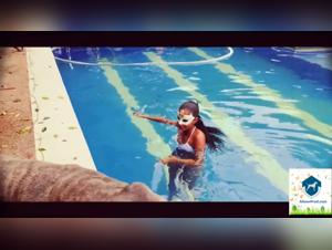 The blonde gets screwed by a sleek black tiger: a passionate encounter between sex and animalia