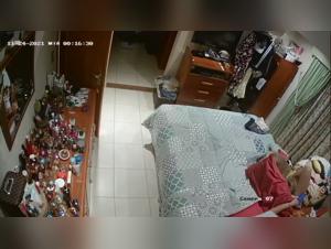 bestiality videos zoofilia