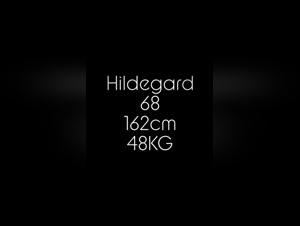 zoo tube bestiality art of zoo