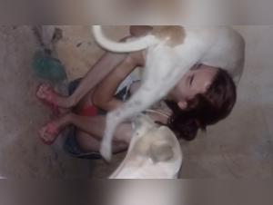 Bestiality: a Brazilian woman and her dog