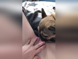 Zoophilia video: A young girl and her dog