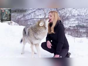 forbidden explorations: bestiality at pornic zoo