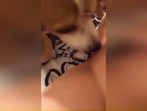 18 year old and his dog: a shocking zoophilia video