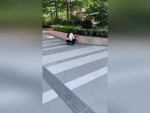 Outdoor Bestiality: Breathtaking Animal Sex Videos