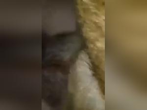 Double Penetration with Dogs