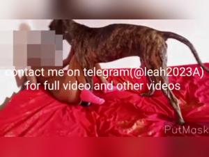 Sex with Dog - Bestiality Videos