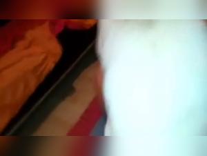 cheating wife dog sex