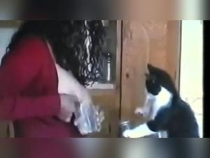 Forbidden Encounters: Kitten and Woman's Milk