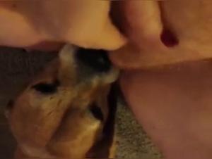 Teen and dog: a shocking zoophilia video