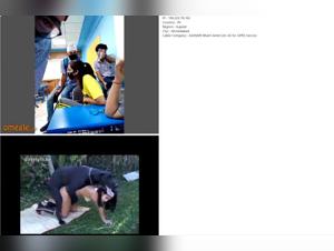 Indian College Students' Shocking Encounter with Dogs and Horses