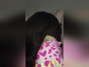 Bestiality Video: A Woman and Her Four-Legged Best Friend