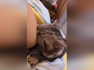 intimate moment: dog fuck and zoofilia tube