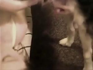 Artofzoo Videos: Controversial Dog Sex Content