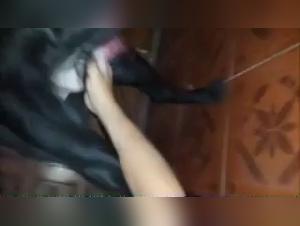 Exciting Encounter: Asian Teen and Dog