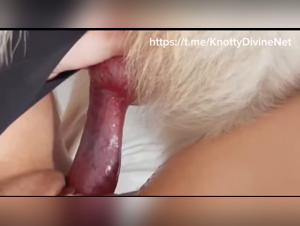 animal intimacy exposed