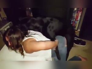 Forbidden Experience: Sex with a Dog