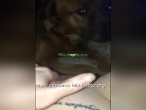 Dog sex video: woman cums from dog licking