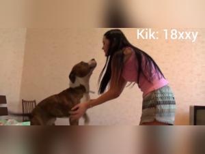 Wild Animal Sex Porn Frenzy