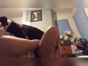 Wife and sister in shocking bestiality video with dog