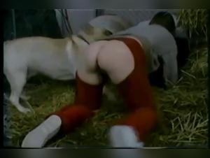 Woman and dog: a zoophilia video not to be missed