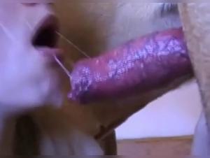 Blonde and Dog: An Explosive Encounter