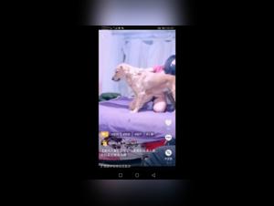 Bestial Encounter - Woman and Dog