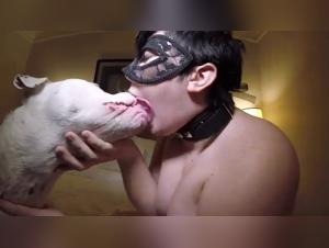 Sex with Dog Videos - Bestiality and Zoophilia