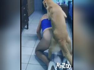 Bestiality with Dog: A Sizzling Hot and Explicit Video