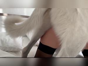 Woman and dog: a bestiality video not to be missed