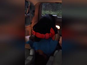 Blonde Pussy Fucks Her Black Dog In Back Of My Car