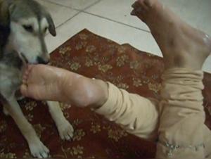 Sexually Impregnated by Sexy Bulldog Foot Sex