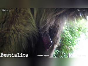 Bestiality Sex Video: A Couple and a Dog