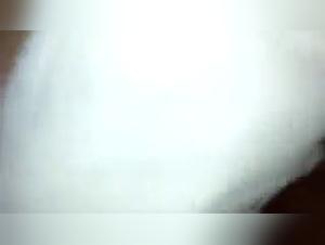 Zoophilia video: Rexcuritiba