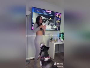 A unique animal experience: a woman and her husky on Twitch