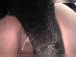 Misty and her bestial adventure