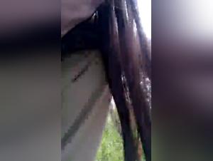 Zoophilia video: a woman and her dog