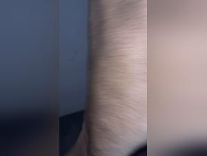 Etica y relaciones animales: Desafios