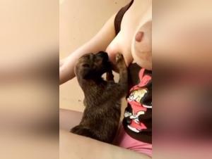 Canine Lactation: A Unique Experience